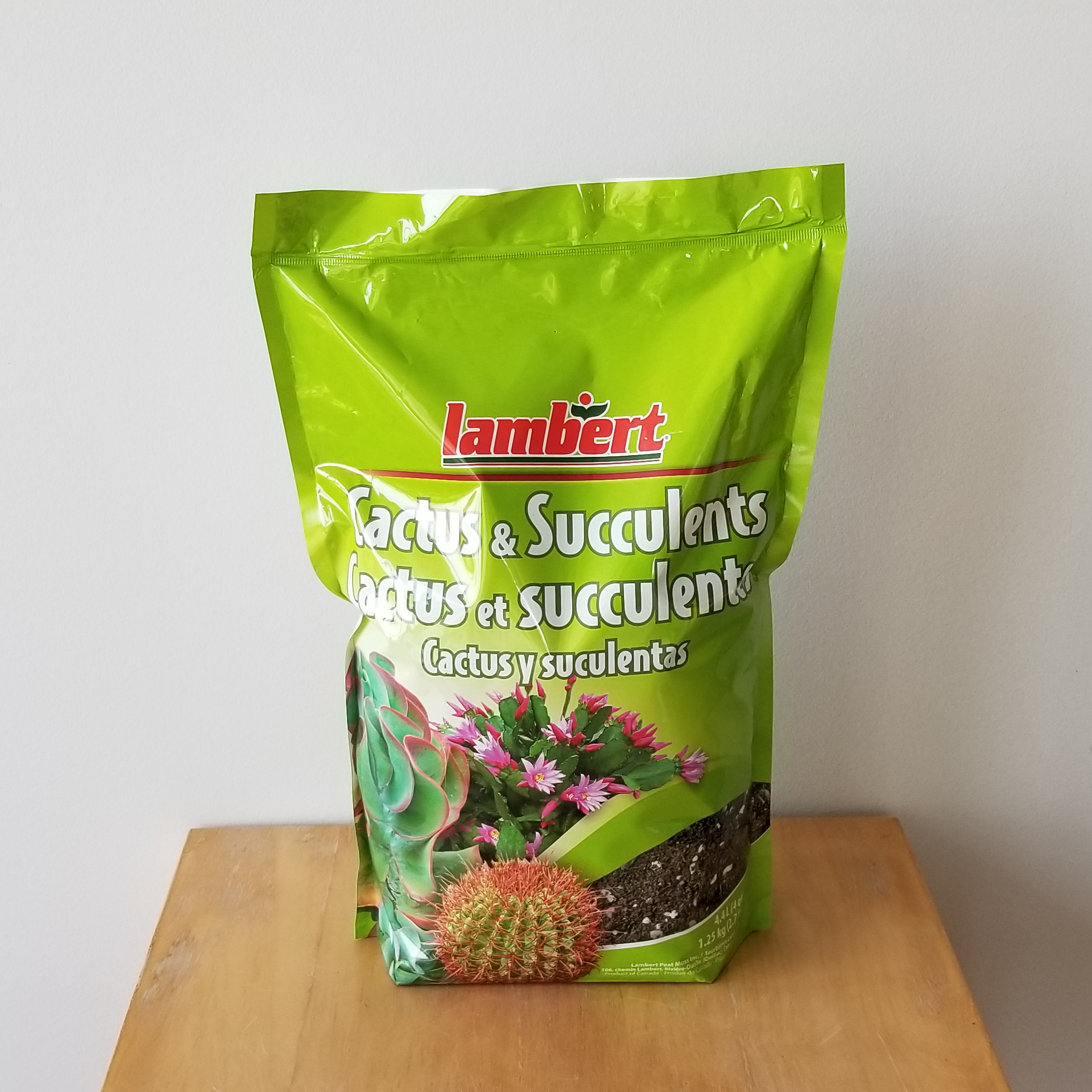 All Natural Succulent And Cactus Soil Mix By Perfect Plants | Made In The USA | 4 Quarts For All Succulent Varieties | Formulated For Proper Drainage